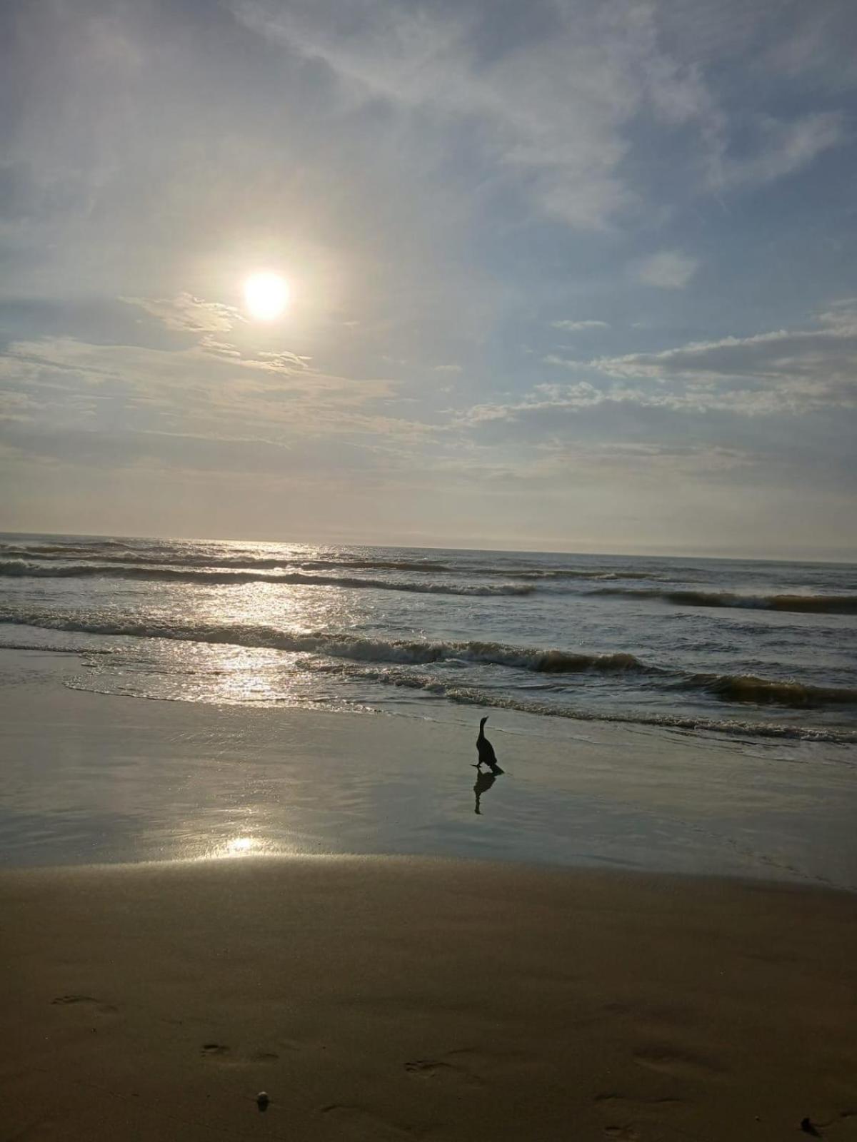 Recanto Beira Mar Apartment *